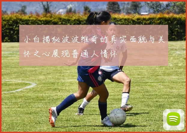 小白揭秘波波维奇的真实面貌与关怀之心展现普通人情怀