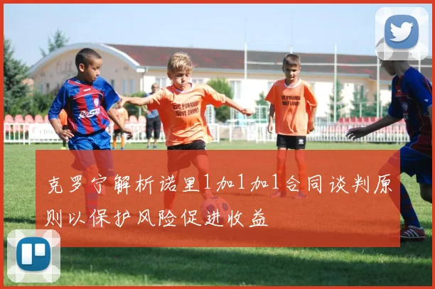 克罗宁解析诺里1加1加1合同谈判原则以保护风险促进收益